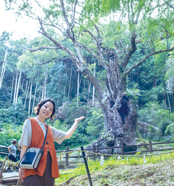 ちょびっと旅サブ写真1