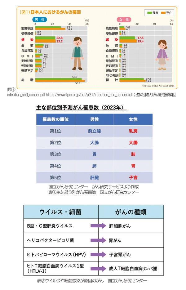 ベジタブルBOX写真